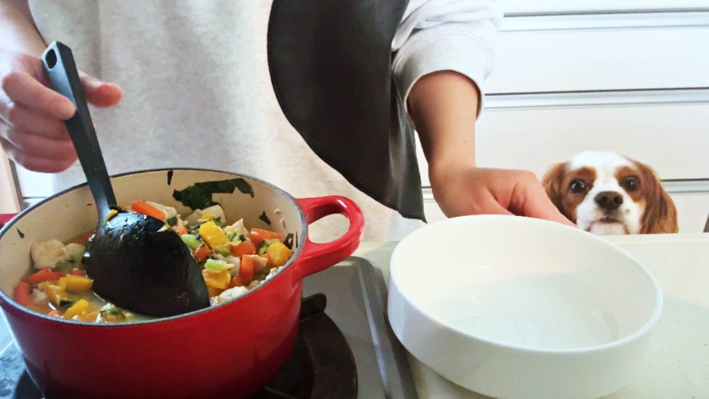 調理中のまなみさんと、そのご飯の完成を待つ愛犬チャイ君