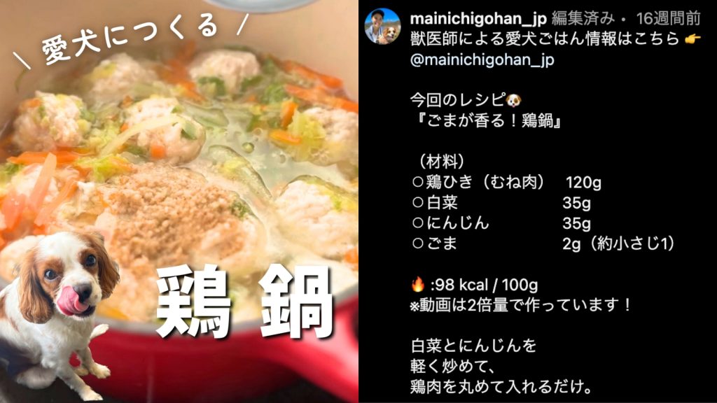 食事と合わせて水分補給もできる「鶏鍋」レシピ(獣医師まなみさん)