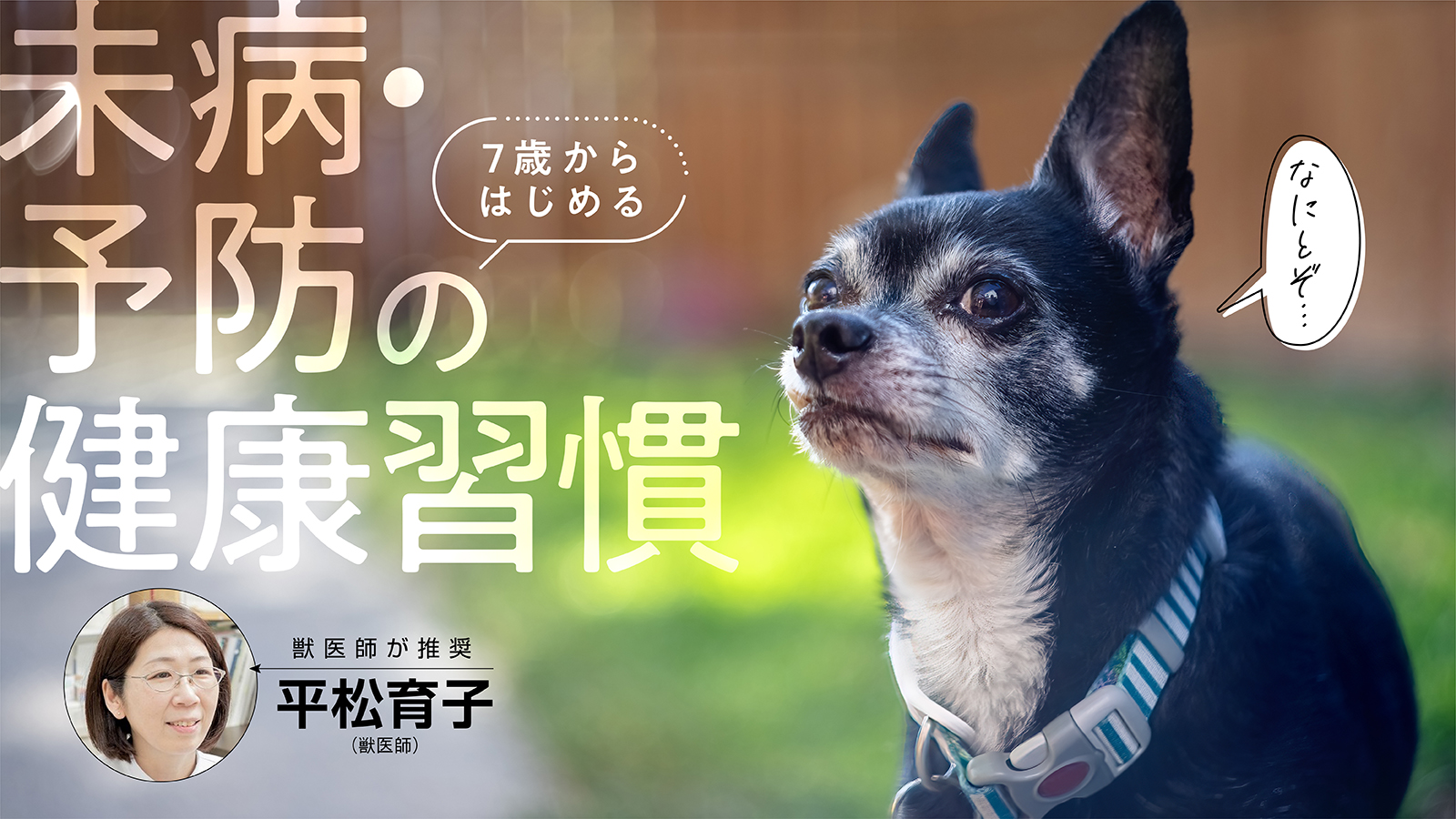 愛犬が7歳を過ぎたら見直したいフード&未病・予防の健康習慣