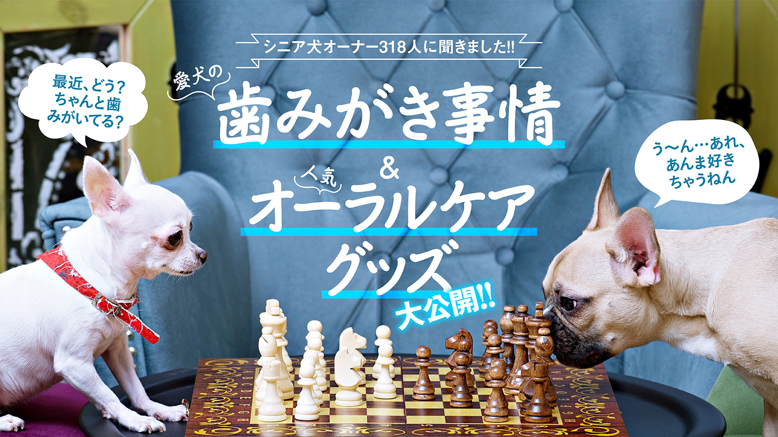 シニア犬オーナー318人に聞きました！愛犬の歯磨き事情＆人気オーラルケアグッズ大公開