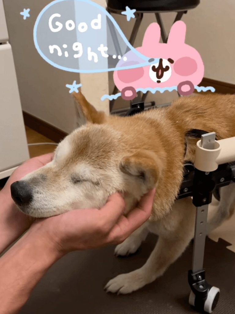 顔のマッサージでとろける晴ちゃん
