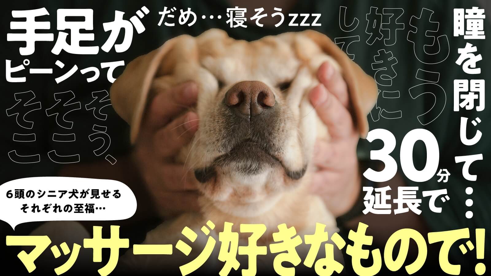 【突撃! 隣のマッサージ】6頭6色の恍惚タイム