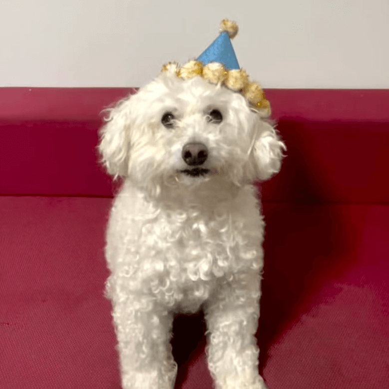 ぷーすけくん