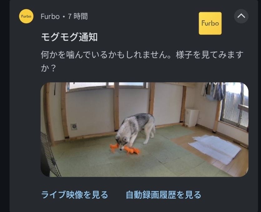 Farboの通知画面