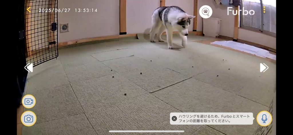 Farboの画面(おやつ発射後)