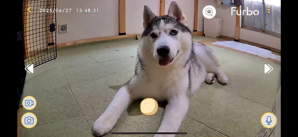 Farboの画面