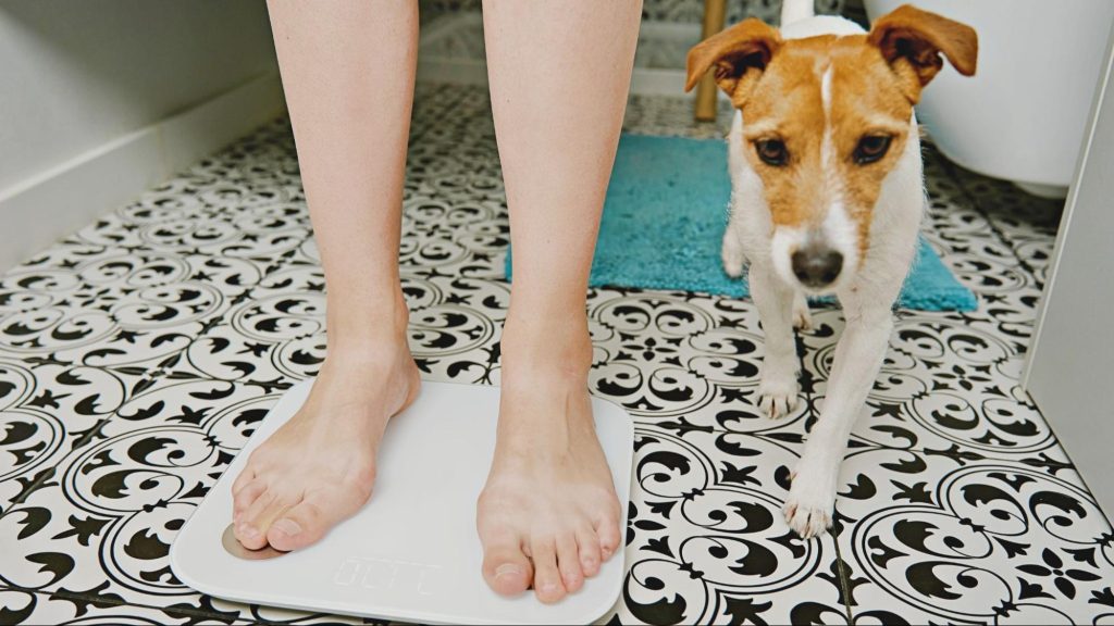 体重計に乗る人の横に寄り添う犬