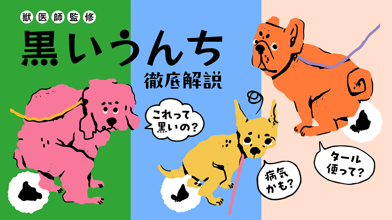 【獣医師監修】犬の黒いうんちを徹底解説