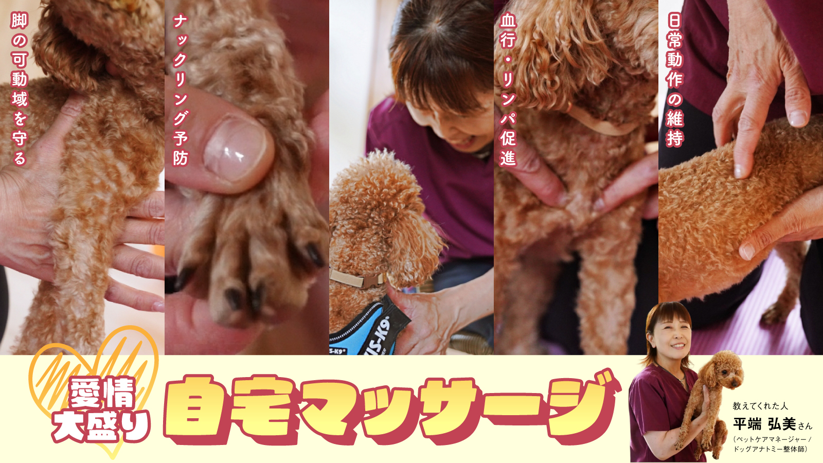 愛情大盛り自宅マッサージ