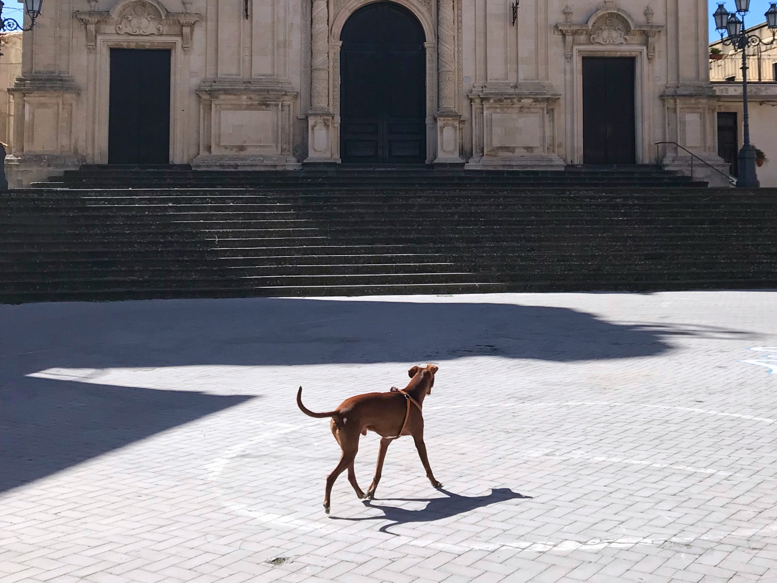 ▲イタリアの街並みを散策するボン。